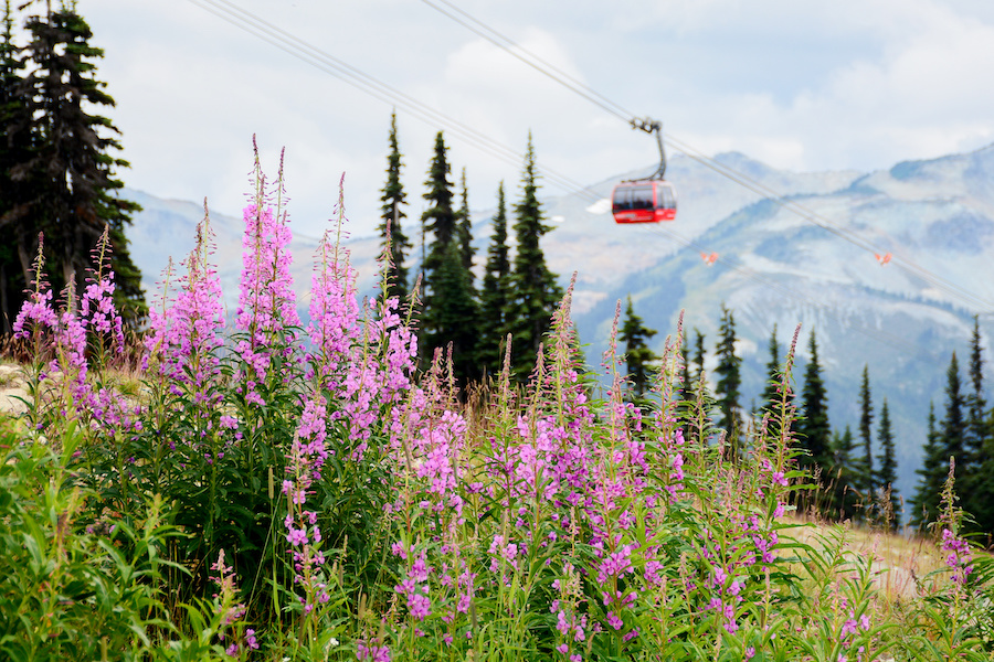 Whistler Peak to Peak gondola in the spring