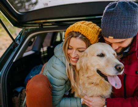 A family roadtrip to Whistler with their dog